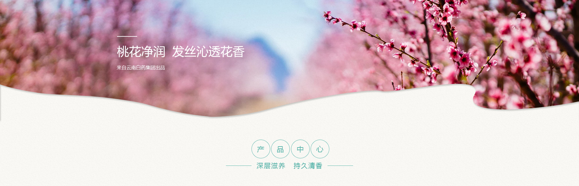BwinӮ(й)޹˾