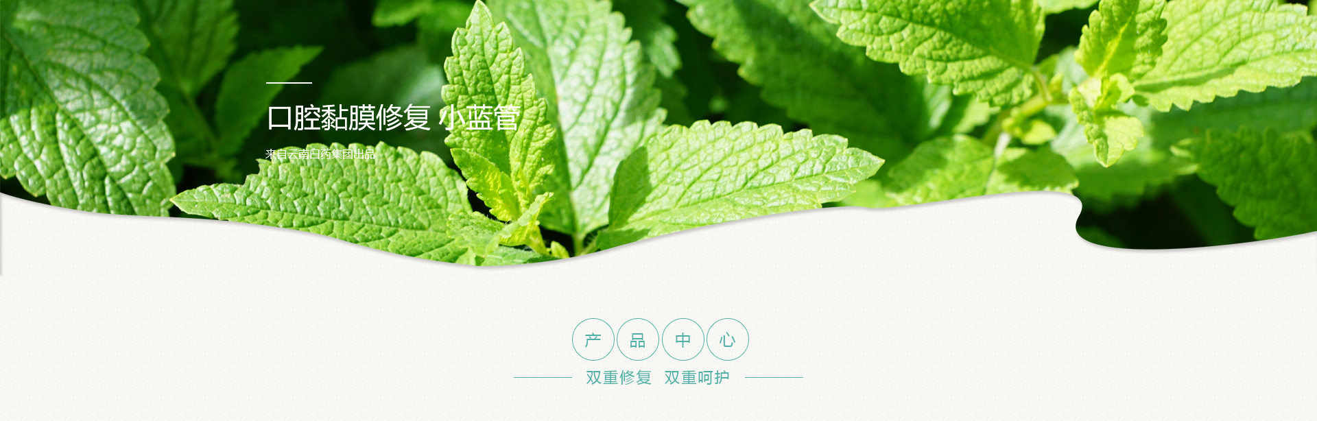 BwinӮ(й)޹˾