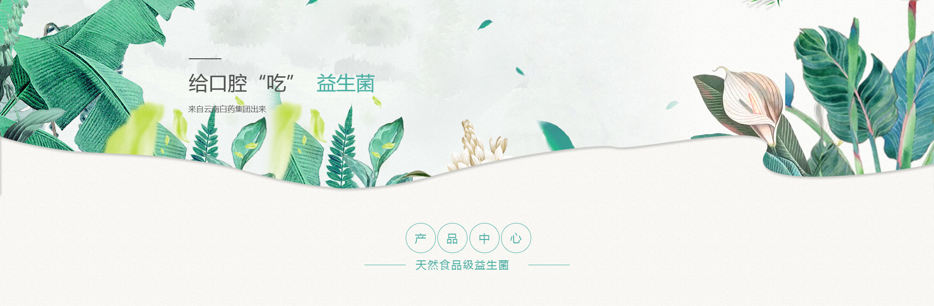 BwinӮ(й)޹˾
