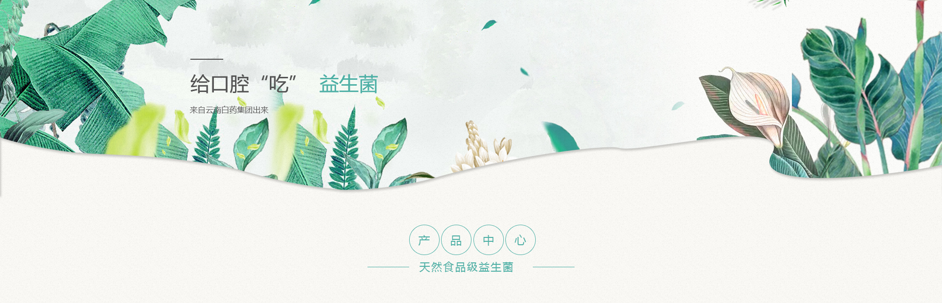 BwinӮ(й)޹˾